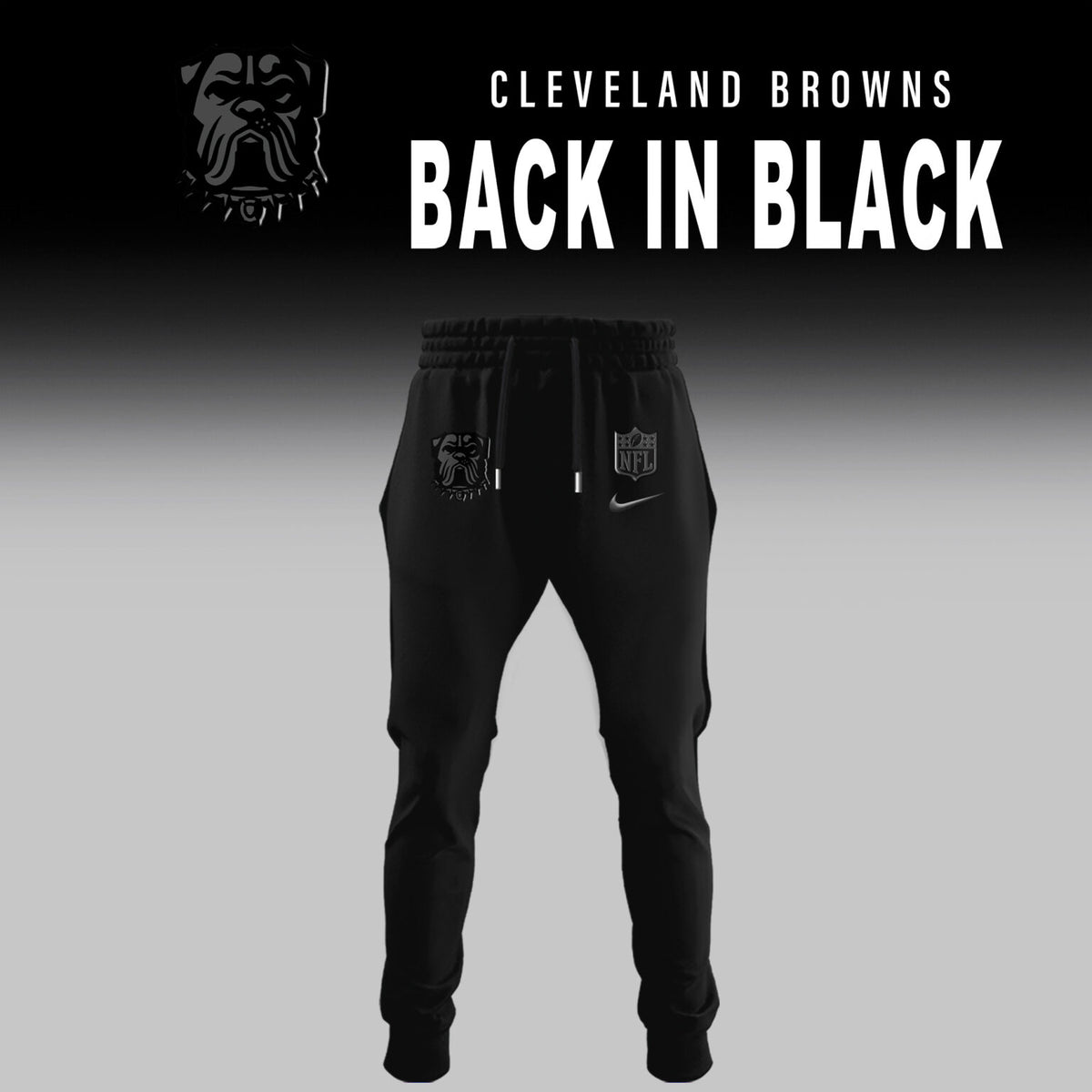 Cleveland Browns Back In Black Limited Edition Hoodie