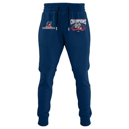 New England Patriots 2025 AFC Conference Champions T-shirt